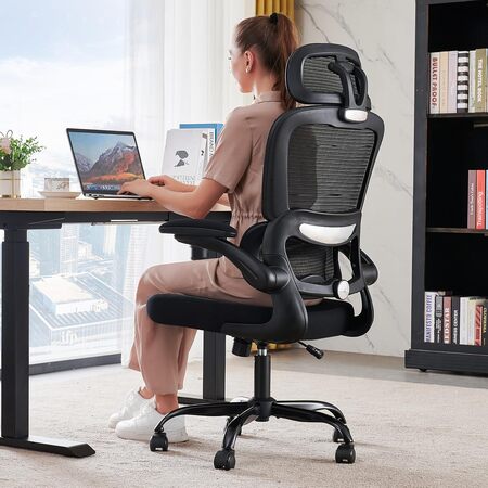 Ergonomic Desk Chair