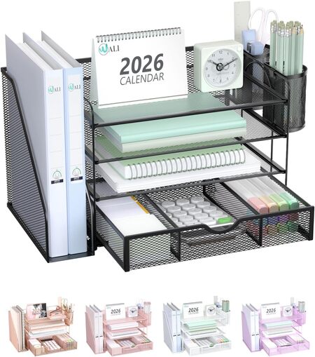 WALI Desk File Organizer, 4